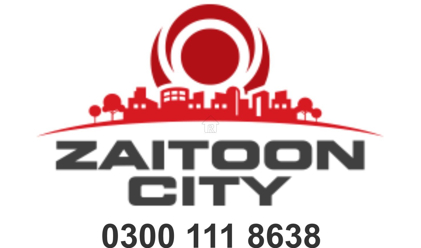 Zaitoon City Logo